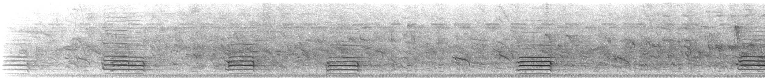 White Cockatoo - ML101908501