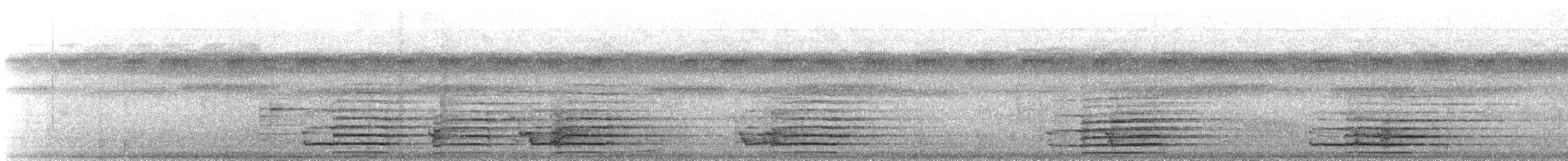 White Cockatoo - ML101908541