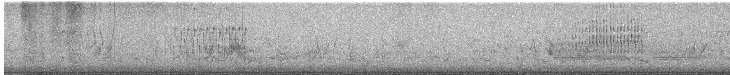 Troglodyte des marais - ML101912131