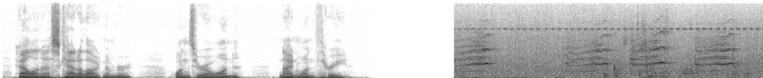 arassari hnědouchý - ML101913