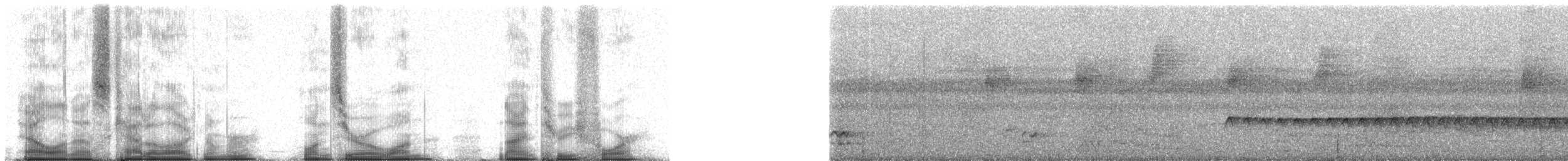 Western Fire-eye (maura Group) - ML101934