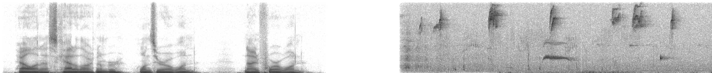 Tangara Ventriescarlata (igniventris) - ML101941
