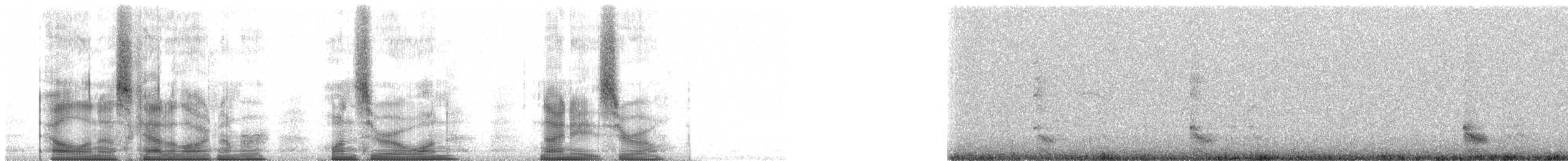 Чапля мангрова [група atricapilla] - ML101980