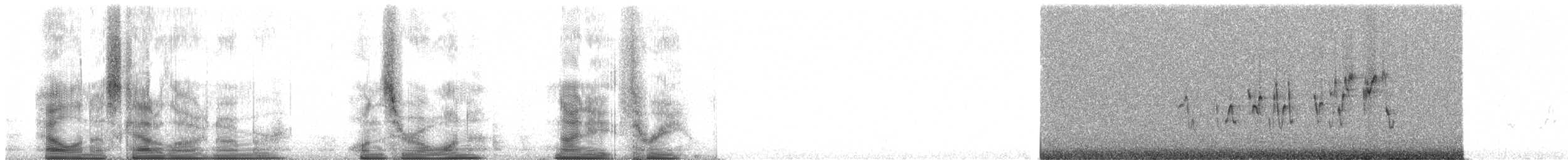 Malegassennektarvogel (aldabrensis) - ML101983