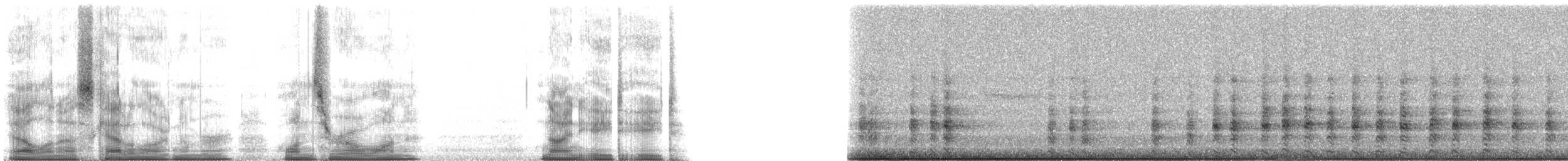 Seychelles Bulbul - ML101988