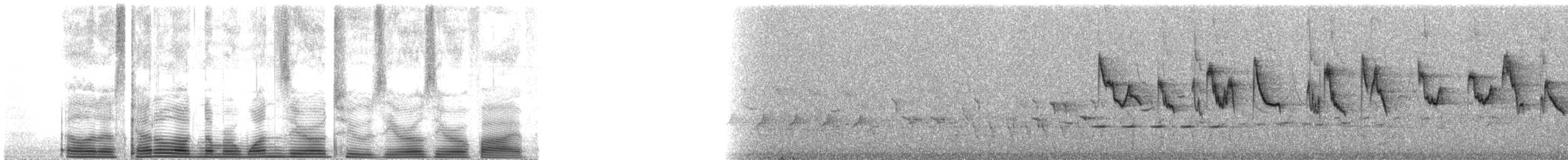 Warbling White-eye - ML102005