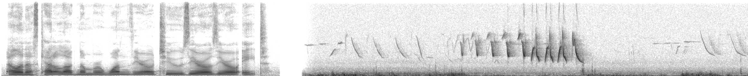 Northern Waterthrush - ML102008