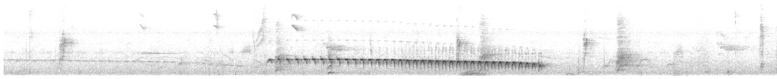 Weißstirn-Ameisenschnäpper - ML102012121