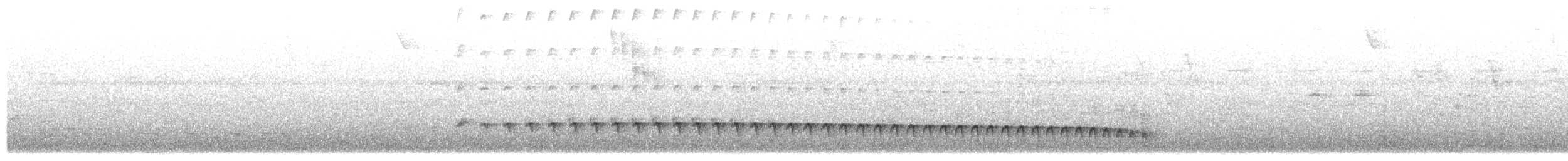 Weißstirn-Ameisenschnäpper - ML102012271