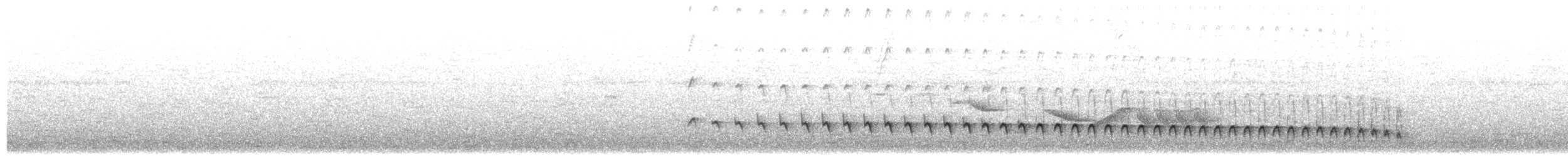 Weißstirn-Ameisenschnäpper - ML102021271