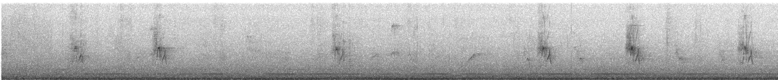 Оронгийн бор шувуу - ML102032611