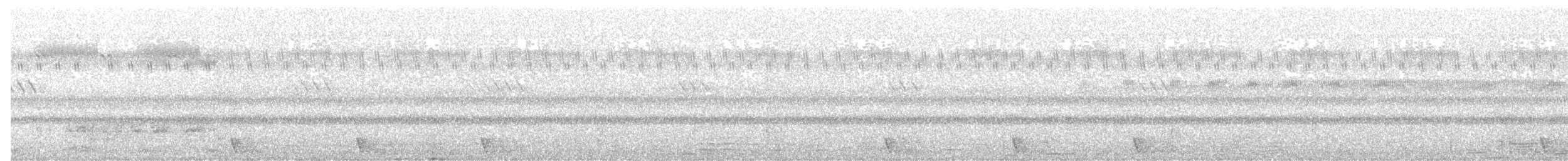 Large-tailed Nightjar - ML102047171