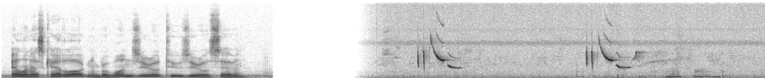 White-bellied Wren (West Mexico) - ML10207