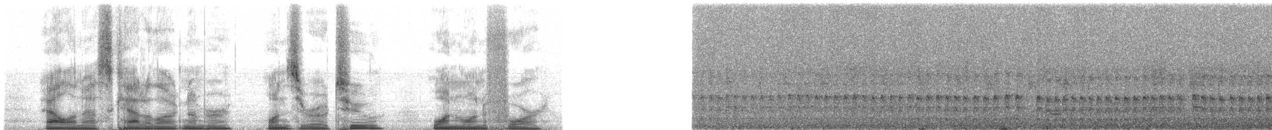 Dohrn's Thrush-Babbler - ML102114