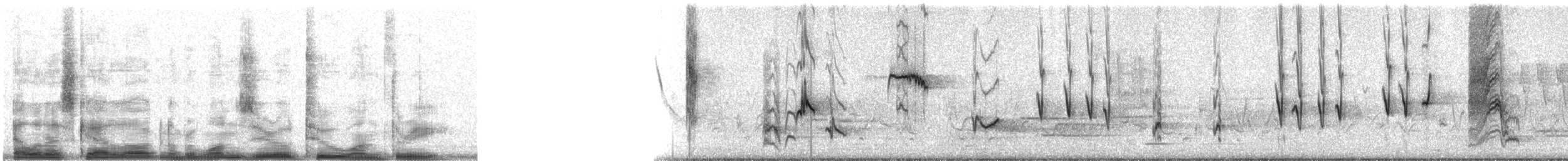 kattespottefugl - ML10213