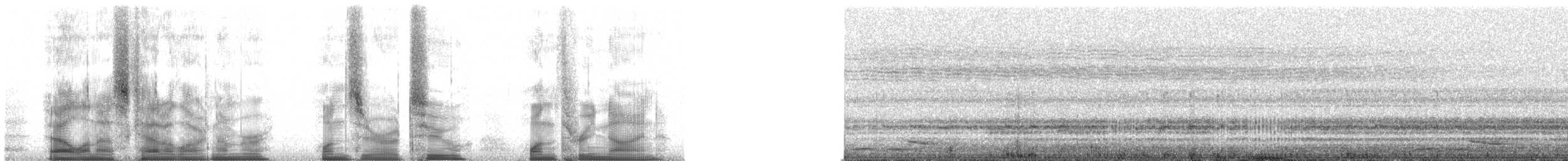Сероголовый ширококлюв - ML102139
