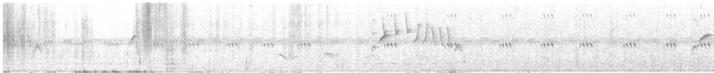 Batı Amerika Sinekkapanı (occidentalis/hellmayri) - ML102144881