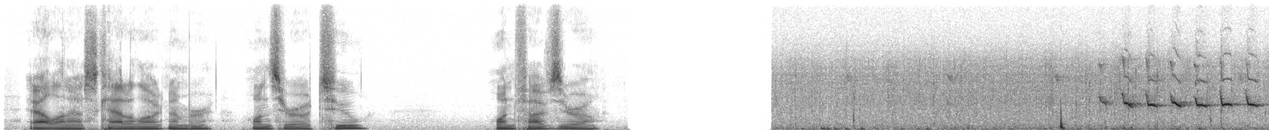 Madagascar Forest Rail - ML102150