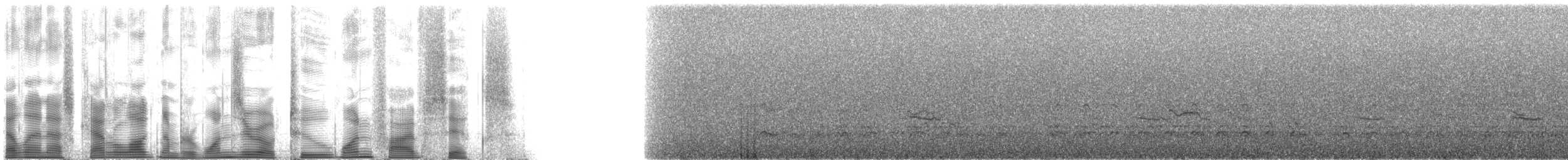 Hemprich's Hornbill - ML102156