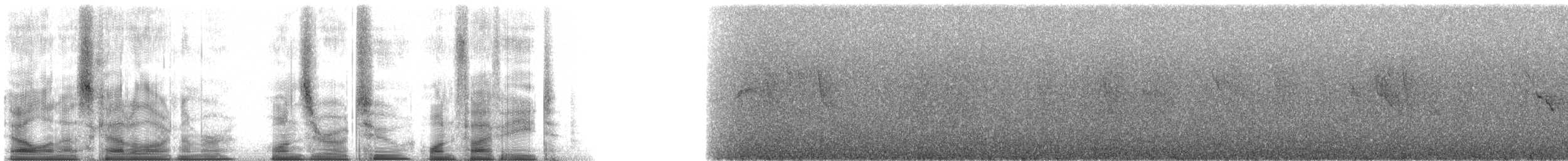 Bozca Drongo Sinekkapanı - ML102158