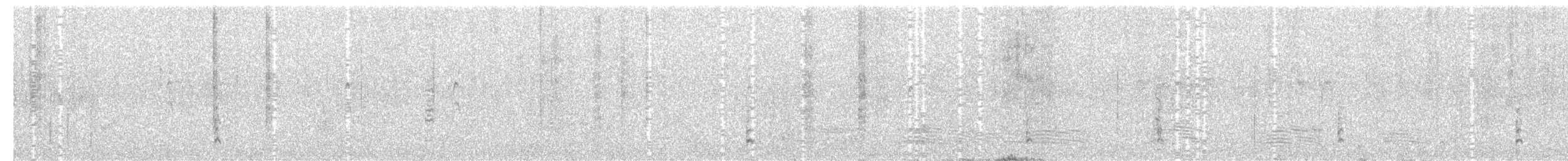 Spotless Crake - ML102161651