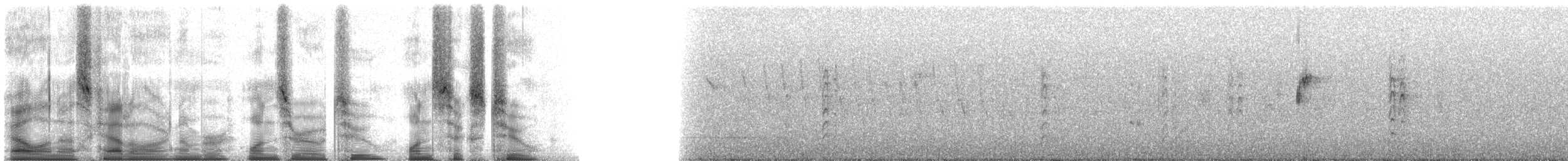 Yellow-fronted Parrot - ML102162