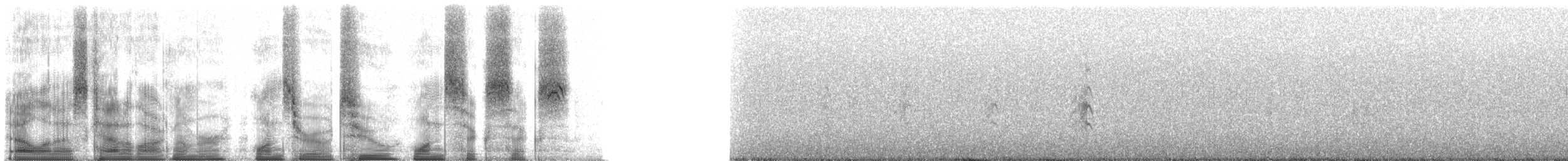 Пестрогрудый чибис - ML102166