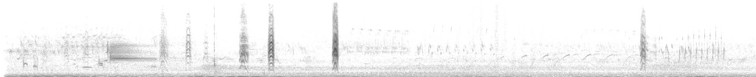 Black Tern (American) - ML102167321