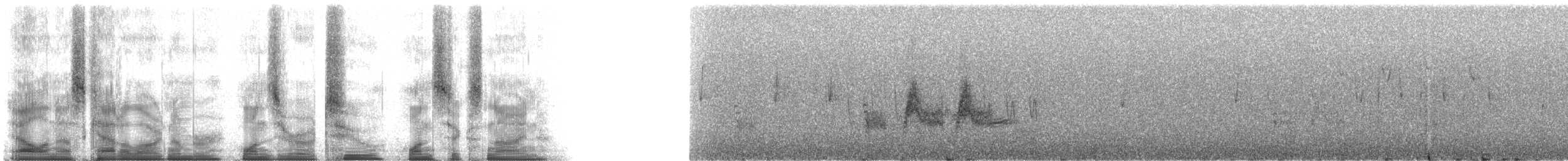 セジロクロガラ - ML102169