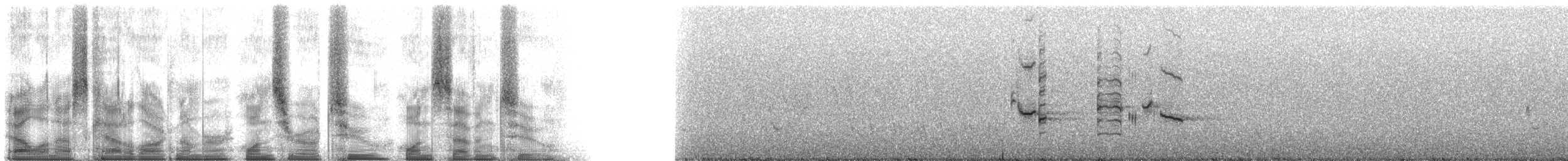 Yellow-fronted Parrot - ML102172