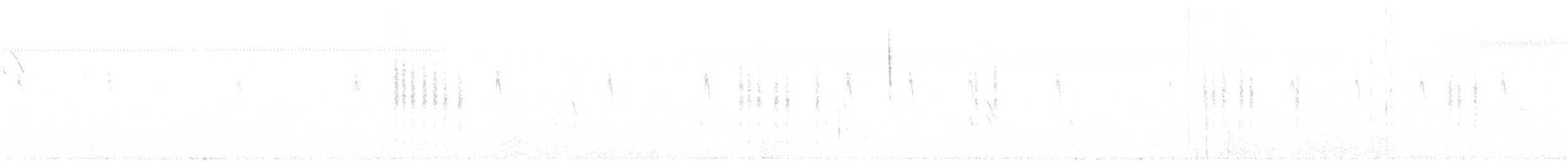 Northern House Wren (Northern) - ML102194261
