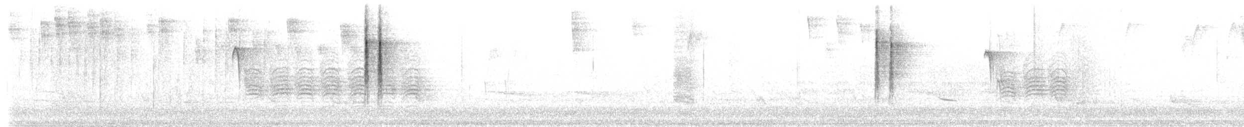 lesňáček černobílý - ML102214941