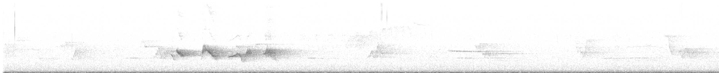 Чернокрылая пиранга - ML102241121