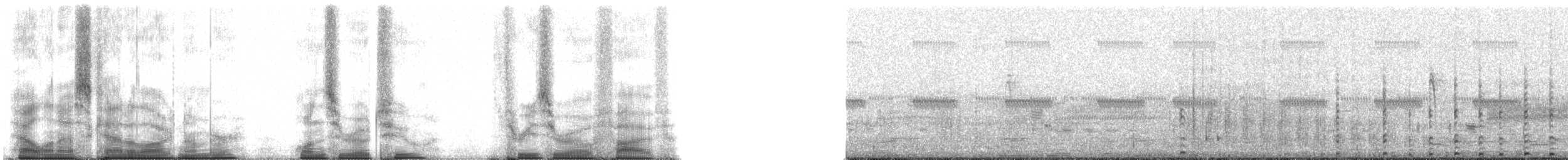 Sarı Bacaklı Sazhorozu - ML102305