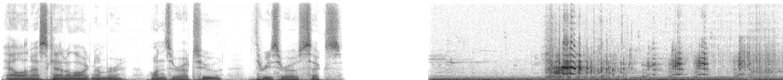 Amerika Sutavuğu [galeata grubu] - ML102306