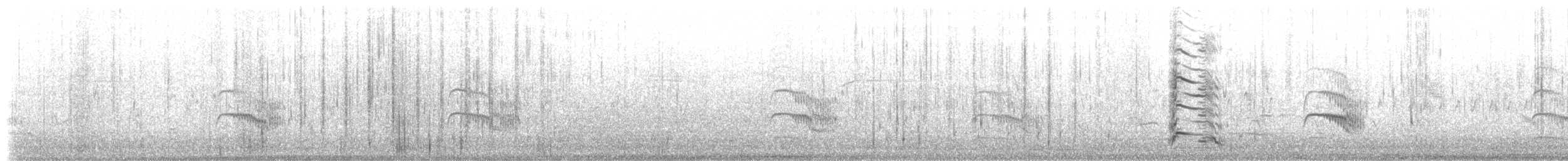 Common Tern - ML102374181