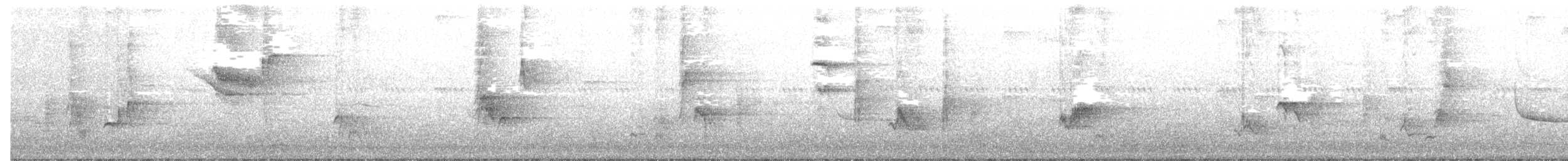 nordgulstrupe - ML102383201