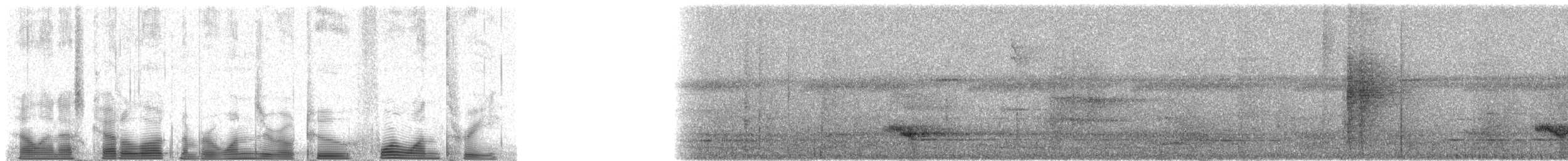 tukan volavý - ML102413