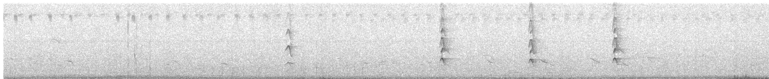 Kara Karınlı Islıkçı Ördek - ML102433691