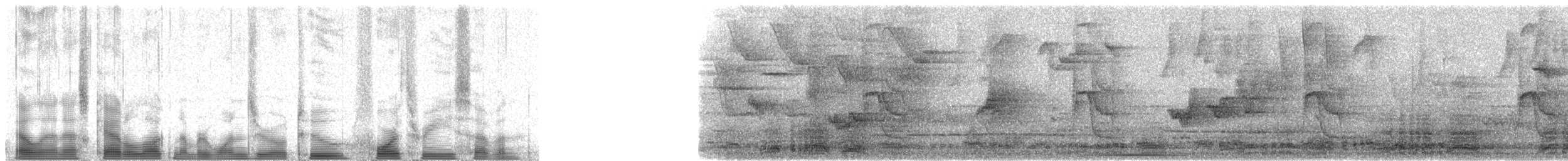 Краснохвостая чачалака (ruficauda) - ML102437