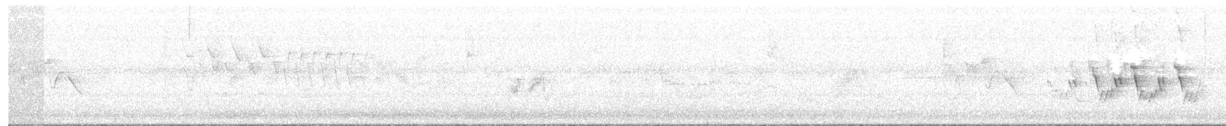Черногорлая хвойница - ML102439141