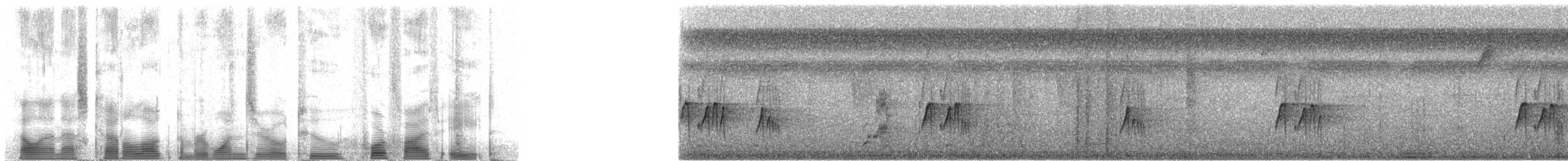 sotkroneløvtyrann - ML102458