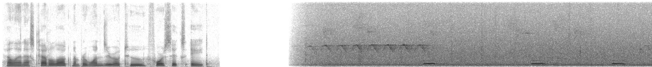 holoubek šedomodrý - ML102468