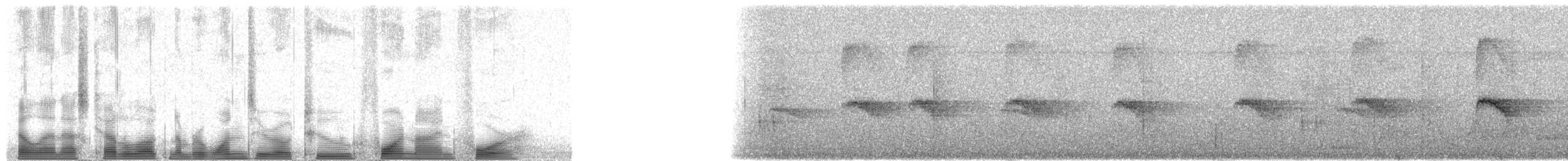Пестрокрылый мухоед (examinatus) - ML102494