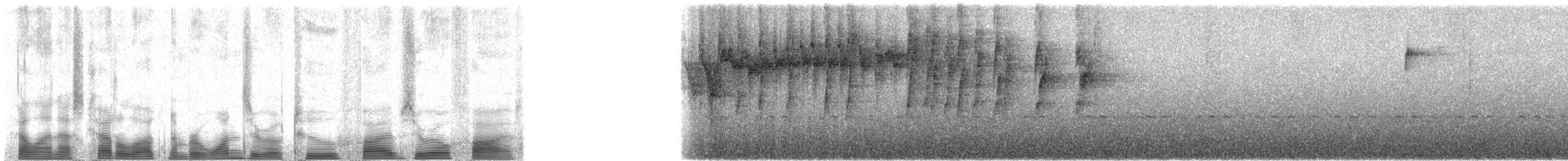 Dreistreifen-Waldsänger (meridanus/bessereri) - ML102505