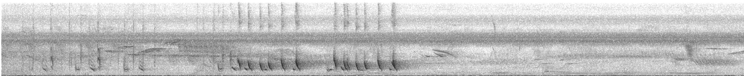 シロサボテンミソサザイ - ML102523001