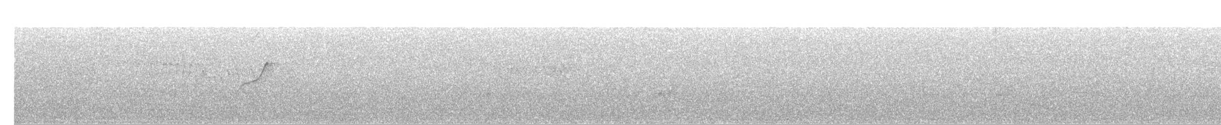 Batı Amerika Sinekkapanı (occidentalis/hellmayri) - ML102524651