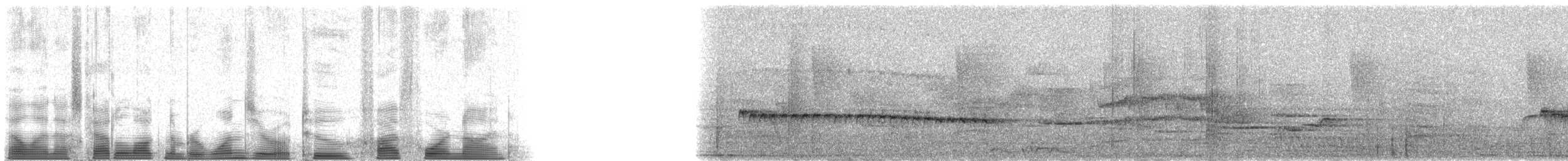 Microbate à long bec (groupe rufiventris) - ML102549