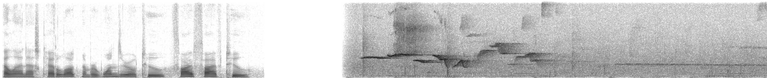 Troglodyte à poitrine tachetée - ML102552