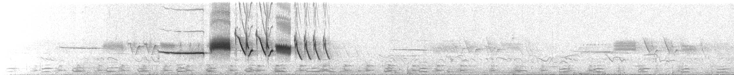 Porsuk Serçesi (pugetensis) - ML102564361
